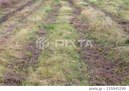 Tractor tire tracks in the grass. Tread marks on a forest road. Traces of car tires on the grass after trucks pass along a forest road. Tractor tire tracks in the grass. Tread marks on a forest road. Traces of car tires on the grass after trucks pass along a forest road. 133045290