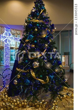 クリスマスツリー クリスマスツリー 133045313