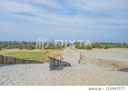浜松市の中田島砂丘の風景(静岡県) 浜松市の中田島砂丘の風景(静岡県) 133045377