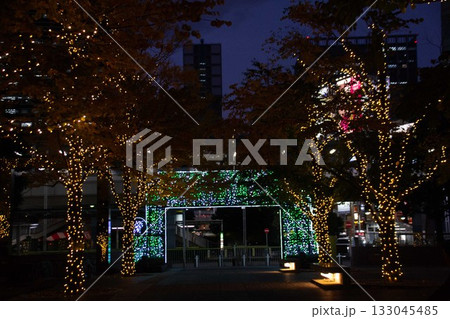 イルミネーション イルミネーション 133045485