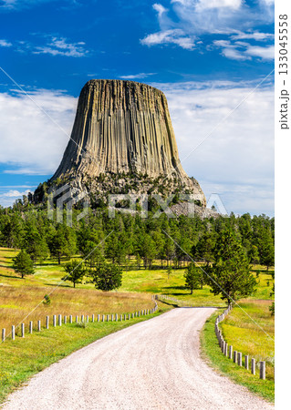 Vertical view of the Devils Tower National Monument in Wyoming. A gravel road leads through a green meadow towards the iconic butte, under a blue sky with clouds Vertical view of the Devils Tower National Monument in Wyoming. A gravel road leads through a green meadow towards the iconic butte, under a blue sky with clouds 133045558