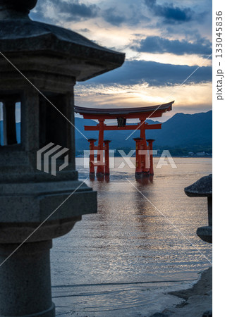 Torii of Itsukushima Shrine at sunset on Miyajima island 133045836