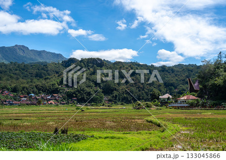 Traditional village with rice fields in Toraja, Sulawesi, Indonesia Traditional village with rice fields in Toraja, Sulawesi, Indonesia 133045866