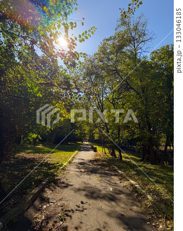 Path in city park illuminated by morning sunlight. Calm, peace, and beauty of everyday nature walk. Path in city park illuminated by morning sunlight. Calm, peace, and beauty of everyday nature walk. 133046185