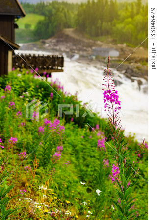 Formofossen waterfall, powerful river in Norway 133046429