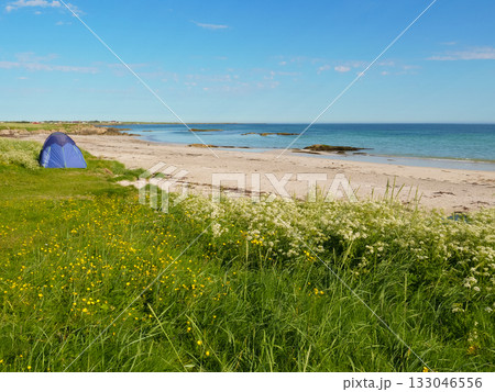 Seascape with tent on beach, Lofoten Norway 133046556
