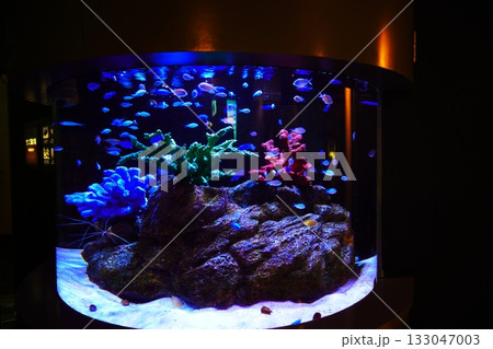 登別マリンパークニクスの水槽 133047003