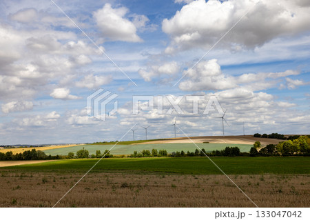 Trois-Puits, Reims, Marne, Grand-Est, France, August, 28th, 2025, Champagne Area, Uniform patches of Trois-Puits, Reims, Marne, Grand-Est, France, August, 28th, 2025, Champagne Area, Uniform patches of 133047042