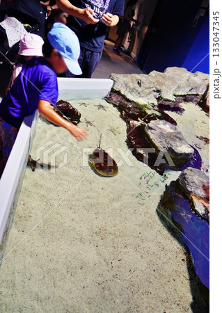 タッチプール 133047345