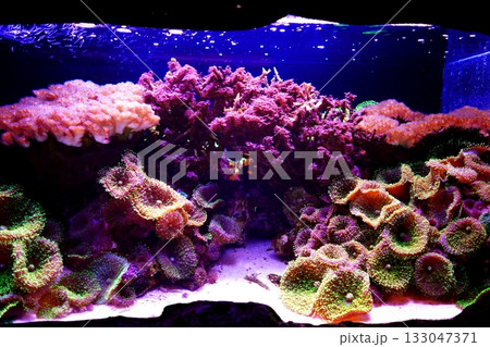 水槽 水槽 133047371