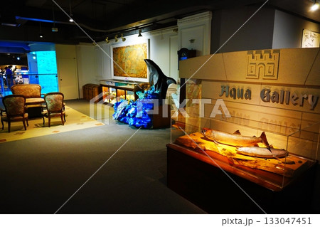 登別マリンパークニクス 3階フロアの風景 登別マリンパークニクス 3階フロアの風景 133047451