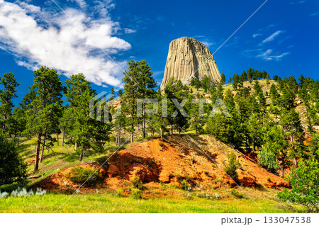 View of Devils Tower National Monument in Wyoming. Bright red earth and a pine forest are in the foreground, under a deep blue sky with clouds View of Devils Tower National Monument in Wyoming. Bright red earth and a pine forest are in the foreground, under a deep blue sky with clouds 133047538