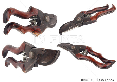 Tree Branch Cutter Isolated on White Background Tree Branch Cutter Isolated on White Background 133047773