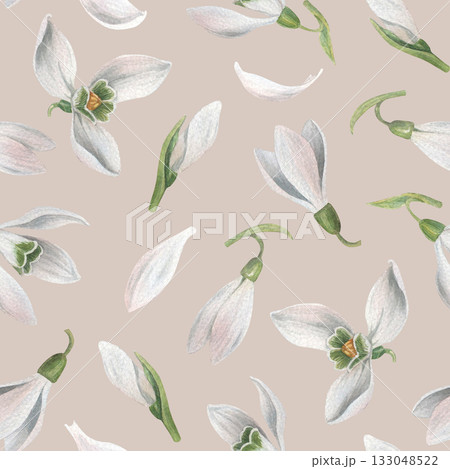 Cute seamless pattern of little snowdrop flowers and buds on beige background. Hand-drawn watercolor illustration. Perfect for decorating packaging, wrapping papers, textiles, print materials Cute seamless pattern of little snowdrop flowers and buds on beige background. Hand-drawn watercolor illustration. Perfect for decorating packaging, wrapping papers, textiles, print materials 133048522