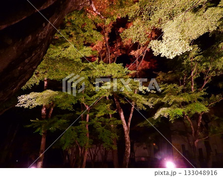 闇に浮かぶ紅葉 闇に浮かぶ紅葉 133048916