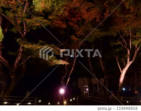 闇に浮かぶ紅葉 133048918