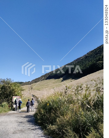 ススキのある風景、仙石原 ススキのある風景、仙石原 133048924