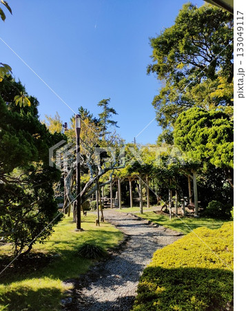 青空が広がる兼六園の風景、大磯、庭園 青空が広がる兼六園の風景、大磯、庭園 133049117