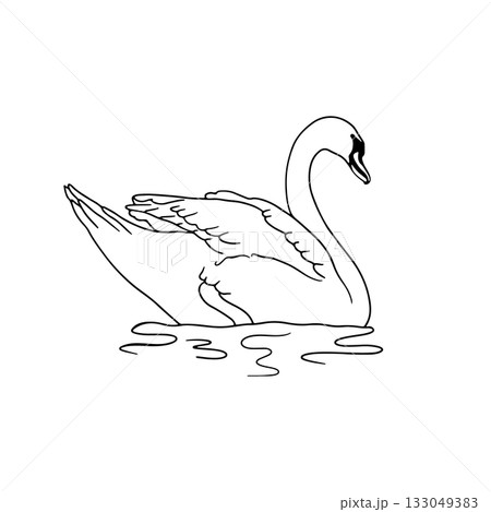 Monochrome hand drawn elegant swan swimming in water clipart 133049383