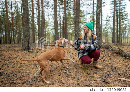 Woman hiker trains dog in autumn forest on daily walk, playing with stick and pet on fall day. Woman hiker trains dog in autumn forest on daily walk, playing with stick and pet on fall day. 133049681