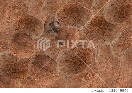 Whole coconuts textured background 133049945