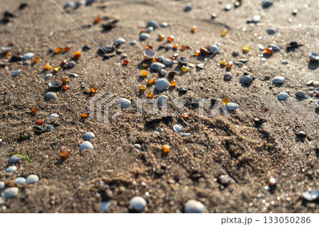 Amber stones on sea coast. Amber gems search on Baltic sea shore, fossilized tree resin crystals on sand Amber stones on sea coast. Amber gems search on Baltic sea shore, fossilized tree resin crystals on sand 133050286