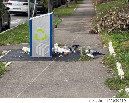Street recycling bin with scattered trash and crows. Urban waste problem, pollution awareness, and environmental responsibility concept. 133050619