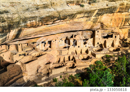 Famous Cliff Palace ruins in Mesa Verde National Park, Colorado. The ancient Ancestral Puebloan cliff dwellings are built into a massive sandstone alcove Famous Cliff Palace ruins in Mesa Verde National Park, Colorado. The ancient Ancestral Puebloan cliff dwellings are built into a massive sandstone alcove 133050818