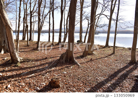晩秋の北海道七飯町で大沼湖畔の風景を撮影 133050969