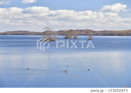 晩秋の北海道七飯町で大沼湖畔の風景を撮影 晩秋の北海道七飯町で大沼湖畔の風景を撮影 133050973