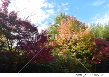 切手博物館 133051060