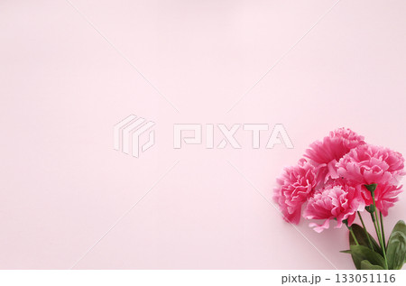 母の日のピンクのカーネーションと淡い背景 母の日のピンクのカーネーションと淡い背景 133051116