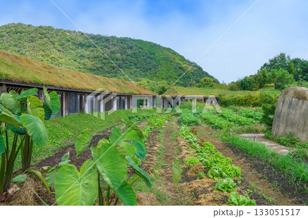 青空バックに見る自然に包まれた独創的な建物と野菜畑のコラボ情景 青空バックに見る自然に包まれた独創的な建物と野菜畑のコラボ情景 133051517