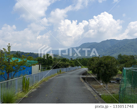 畑の中を通る農道の風景 畑の中を通る農道の風景 133051748