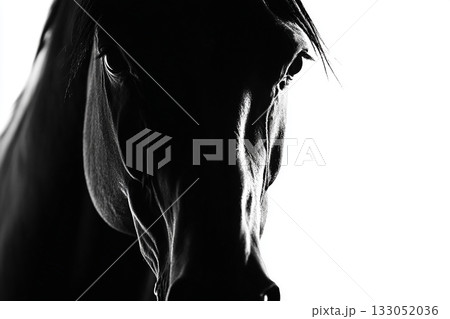 馬のシルエットアート・光で浮かび上がるモノクロの動物イラスト 133052036