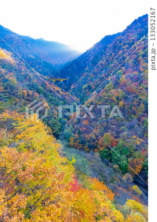 【埼玉県】雁坂トンネル入り口・紅葉に包まれた雁坂大橋 133052167