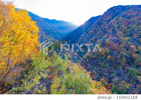 【埼玉県】雁坂トンネル入り口・紅葉に包まれた雁坂大橋 133052168