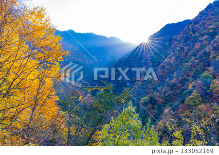 【埼玉県】雁坂トンネル入り口・紅葉に包まれた雁坂大橋 133052169