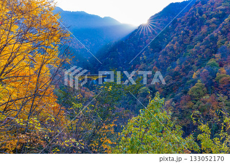 【埼玉県】雁坂トンネル入り口・紅葉に包まれた雁坂大橋 133052170