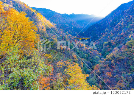 【埼玉県】雁坂トンネル入り口・紅葉に包まれた雁坂大橋 【埼玉県】雁坂トンネル入り口・紅葉に包まれた雁坂大橋 133052172
