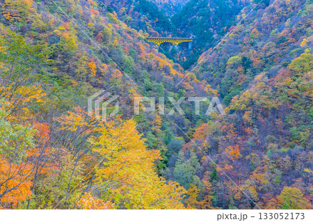 【埼玉県】雁坂トンネル入り口・紅葉に包まれた雁坂大橋 133052173