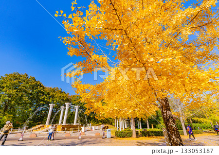 【埼玉県】紅葉が美しい秩父ミューズパーク　広場の噴水 133053187