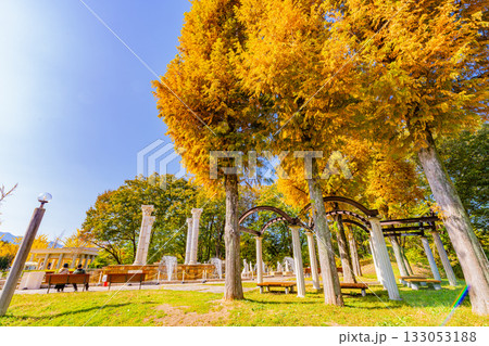 【埼玉県】紅葉が美しい秩父ミューズパーク　広場の噴水 133053188
