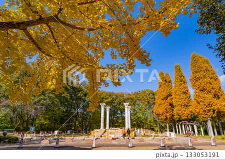 【埼玉県】紅葉が美しい秩父ミューズパーク　広場の噴水 133053191