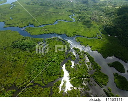 Mangrove forest with winding river channels flowing through dense green vegetation. Siargao, Philippines. 133053314