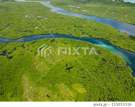Wide river channel running through dense green mangrove forest. Siargao, Philippines. Wide river channel running through dense green mangrove forest. Siargao, Philippines. 133053316