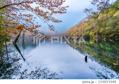 夜明け前の自然湖の水面に映る紅葉 夜明け前の自然湖の水面に映る紅葉 133053349