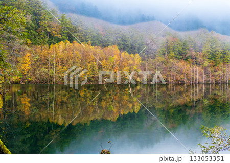 夜明け前の自然湖の水面に映る紅葉 夜明け前の自然湖の水面に映る紅葉 133053351