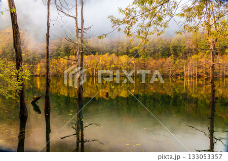 夜明け前の自然湖の水面に映る紅葉 133053357