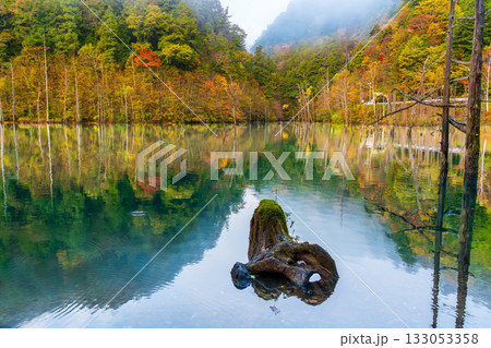 夜明け前の自然湖の水面に映る紅葉 夜明け前の自然湖の水面に映る紅葉 133053358